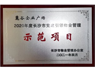 2020年长沙市党建引领示范项目