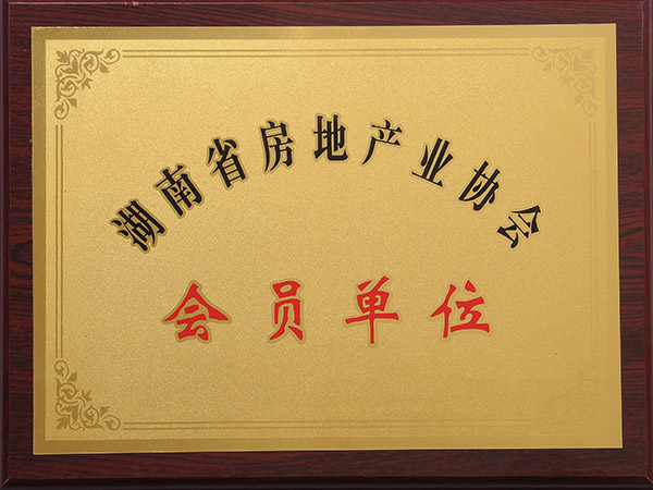 湖南省房地产业协会会员单位